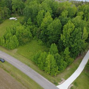 DJI_0371
