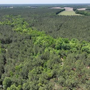 dji_fly_20260508_124718_0704_17783328300