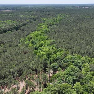 dji_fly_20260508_124734_0705_17783328313