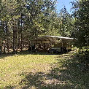 IMG_0090