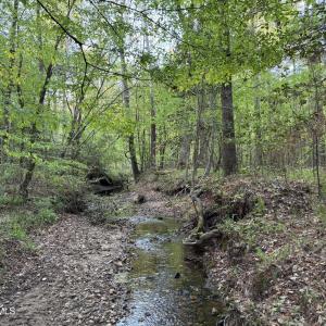 Cartledge Creek