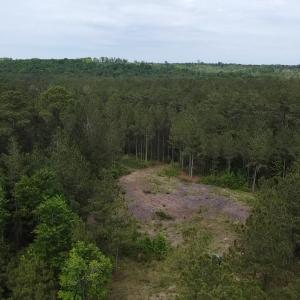 Cartledge Creek
