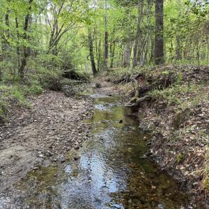 Cartledge Creek