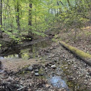 Cartledge Creek