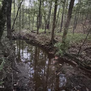 Cartledge Creek