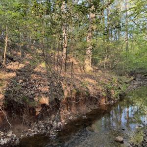 Cartledge Creek
