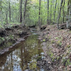 Cartledge Creek