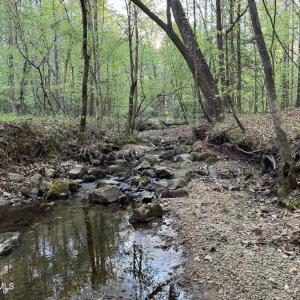 Cartledge Creek