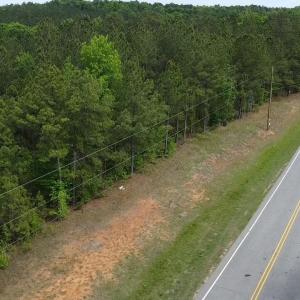 Cartledge Creek