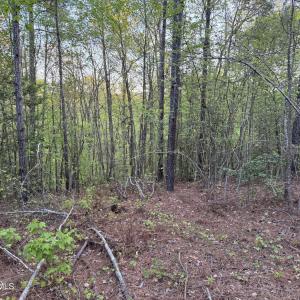 Cartledge Creek
