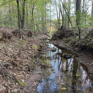Cartledge Creek