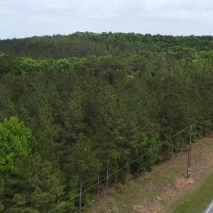 Cartledge Creek