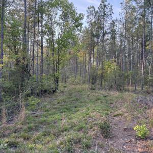 Cartledge Creek