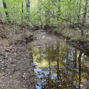 Cartledge Creek