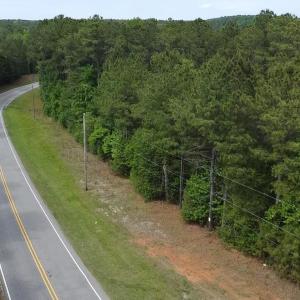 Cartledge Creek