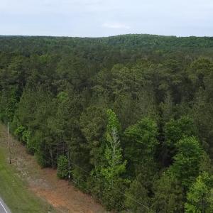 Cartledge Creek