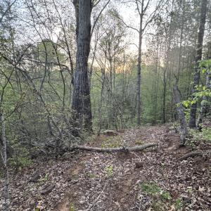 Cartledge Creek
