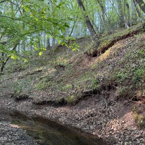 Cartledge Creek