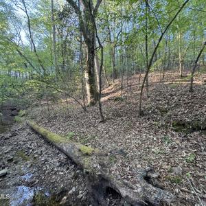 Cartledge Creek