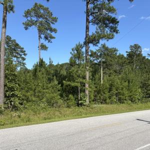 Photo #2 of Lee Rogers, Hubert, NC 70.3 acres