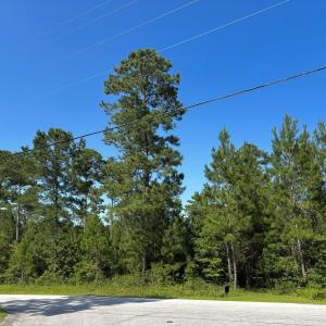 Photo #3 of Lee Rogers, Hubert, NC 70.3 acres