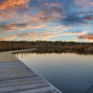 dock 1 brook