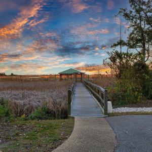 dock Brook