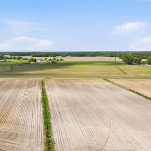 14-web-or-mls-DJI_0782