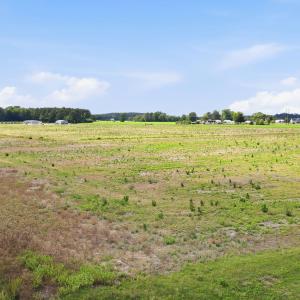 16-web-or-mls-DJI_0784