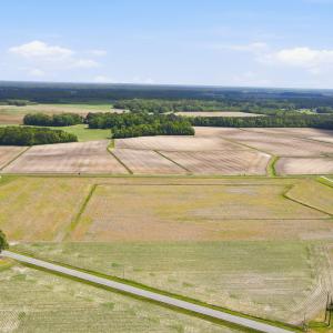 8-web-or-mls-DJI_0776