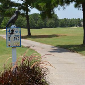 DSC_6536 (1)