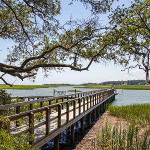 Oyster Harbour kayak launch