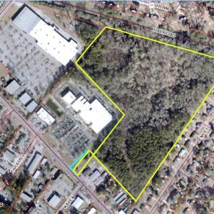 Neuse Aerial
