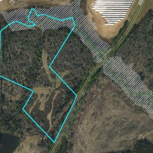 sneedsboro flood zone tool