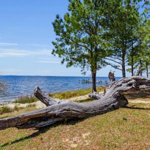 N/A Burton Farm Road