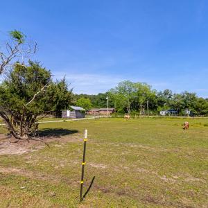 11+ acre parcel
