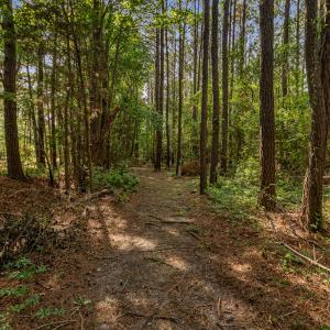 Walking trails