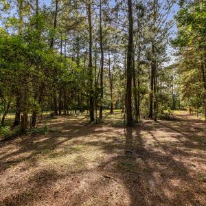 11+ acre parcel