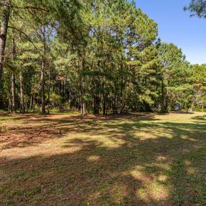 Fenced-in pasture area
