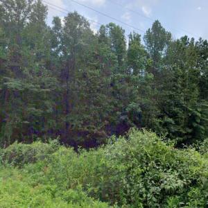 pic off bradleyville road