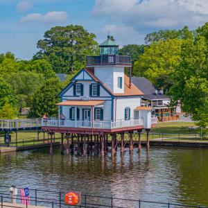 247 Wildcat Rd Edenton-74