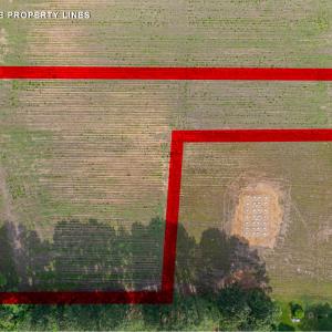 243 Wildcat RD Edenton-18