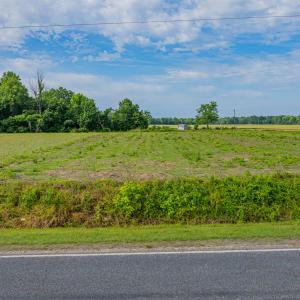 243 Wildcat RD Edenton