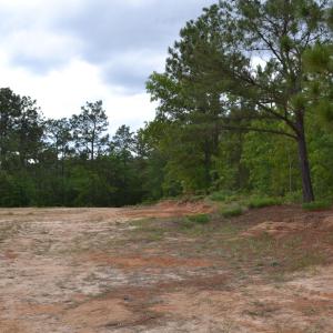 Old Barnwell Rd (24)