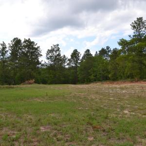 Old Barnwell Rd (42)