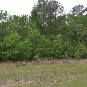 Old Barnwell Rd (40)