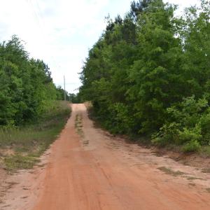 Damascus Lane