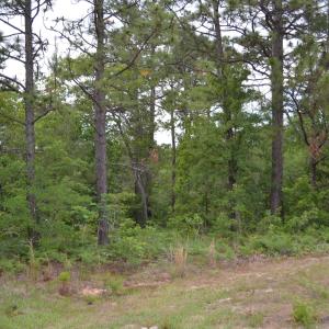 Old Barnwell Rd (30)