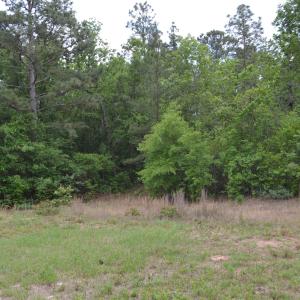 Old Barnwell Rd (39)