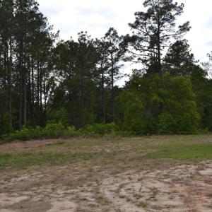 Old Barnwell Rd (28)